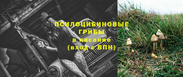каннабис Абаза