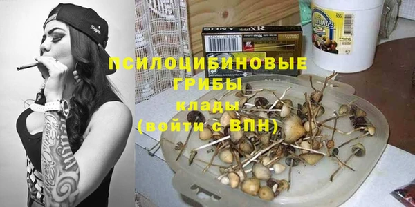 хмурый Алзамай