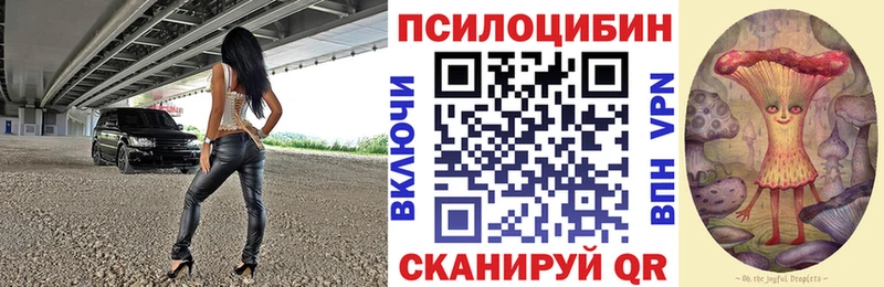 Псилоцибиновые грибы Cubensis  Бирюсинск 